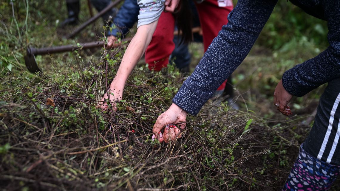 Kinder und Jugendliche des Kollektivs "Memoria y no Violencia" arbeiten in ihrem Gemeinschaftsgarten in Anacozca, AntioquiaProjektpartner: Conciudadanía