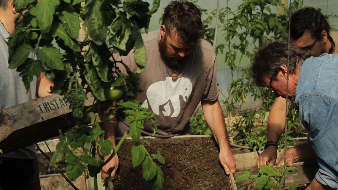 Versuche mit Bodenqualität und Humusentwicklung leiten dazu zu an, auch zuhause im Garten und auf dem Feld für eine artenreiche und fruchtbare Umgebung zu sorgen. 