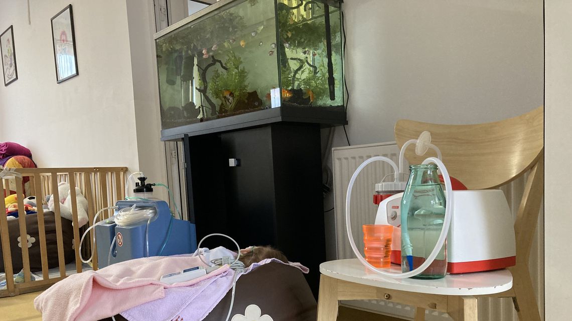Viele Details sorgen für einen lebendigen und bunten Rahmen in diesem Haus: dazu gehören auch die Fische im Aquarium.